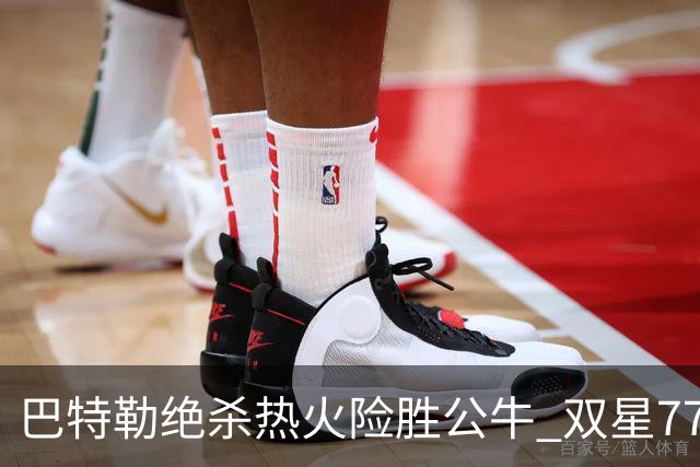 巴特勒绝杀热火险胜公牛 双星77分森林狼大胜