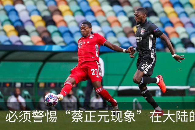 必须警惕“蔡正元现象”在大陆的泛滥