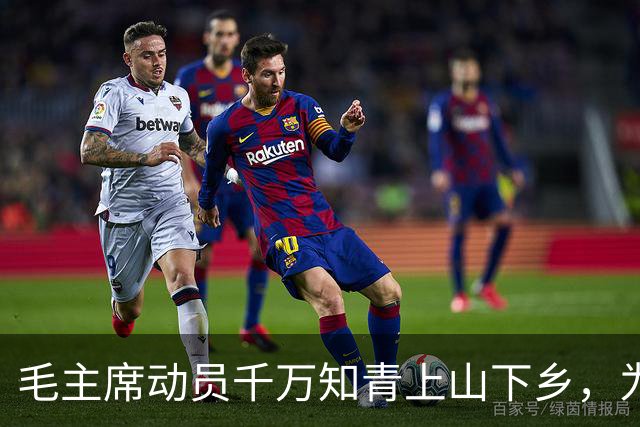 毛主席动员千万知青上山下乡，为何邓公复出不久便终结该政策？