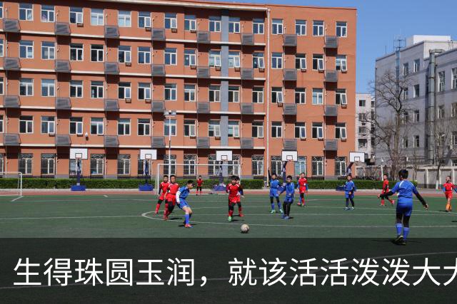 生得珠圆玉润，就该活活泼泼大大方方